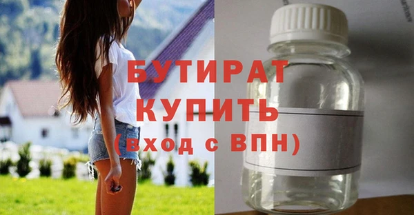 крисы Бородино