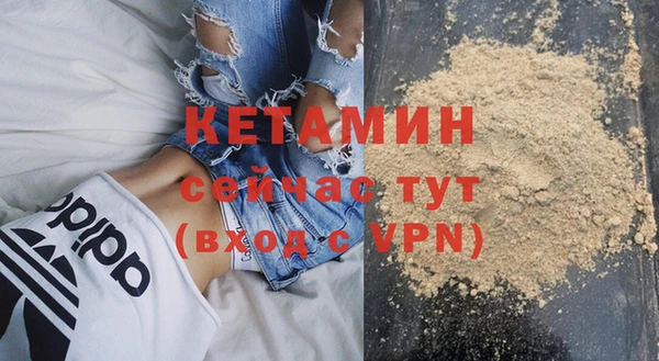 крисы Бородино