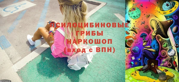 PSILOCYBIN Бронницы
