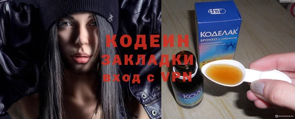 крисы Бородино