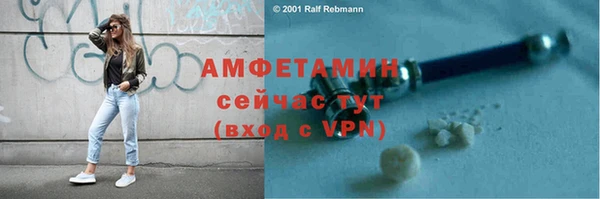 крисы Бородино