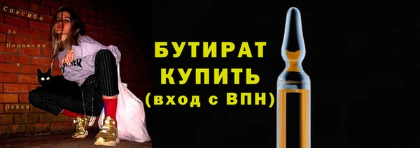 крисы Бородино