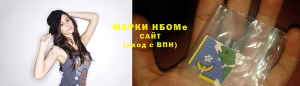 крисы Бородино