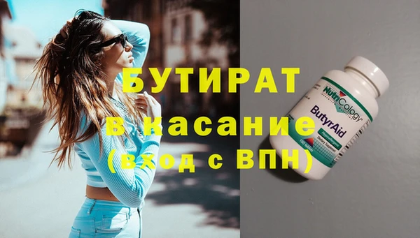 крисы Бородино