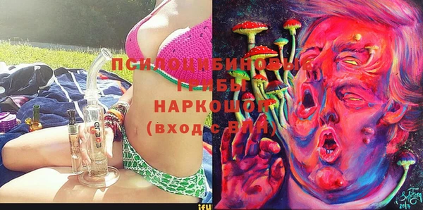 спайс Верея