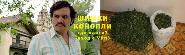крисы Бородино