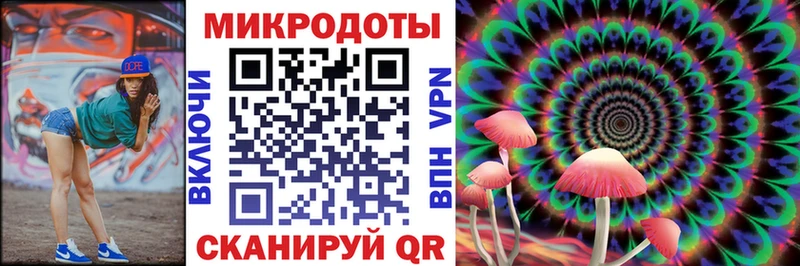Псилоцибиновые грибы Psilocybe  наркотики  Безенчук 